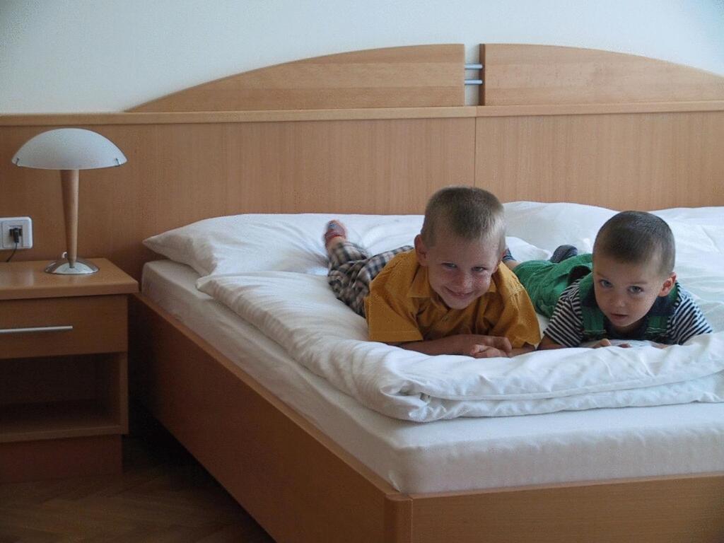 Pension Schlossblick Nebersdorf Cameră foto